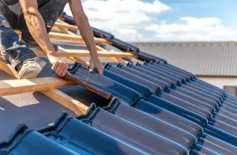 Couverture - Joncels